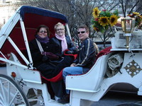 Carriage Ride in Central Park