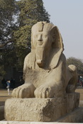 Memphis Alabaster Sphinx