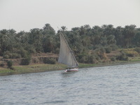 A local feluca sailing down the Nile