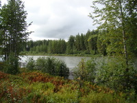 One of many Lakes during our train trip