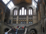 Natural History Museum (The)